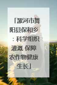 漯河市舞阳县保和乡：科学组织灌溉 保障农作物健康生长